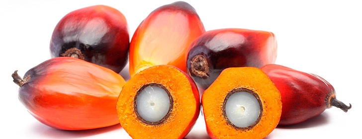 El aceite de palma y la salud