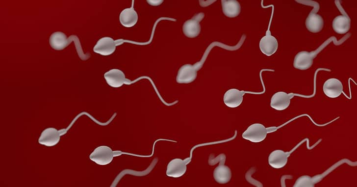 Nuevo tratamiento de la infertilidad de causa genética