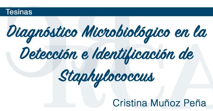 Diagnóstico Microbiológico en la Detección e Identificación de Staphylococcus