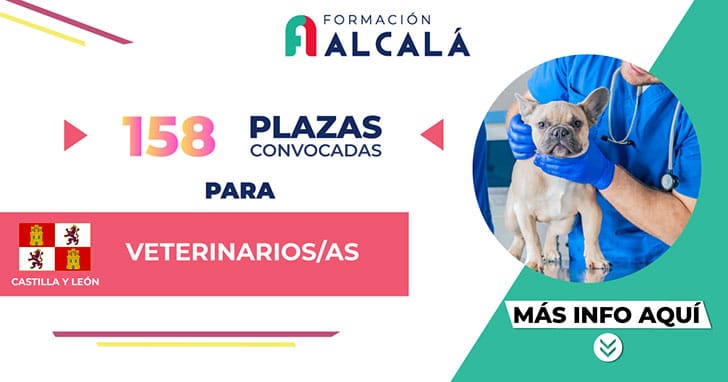 Convocadas 158 plazas para veterinarios en Castilla y León